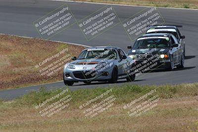 media/May-04-2024-Lucky Dog Racing (Sat) [[d39539b3f3]]/Race Pics/1015am (Turn 2)/